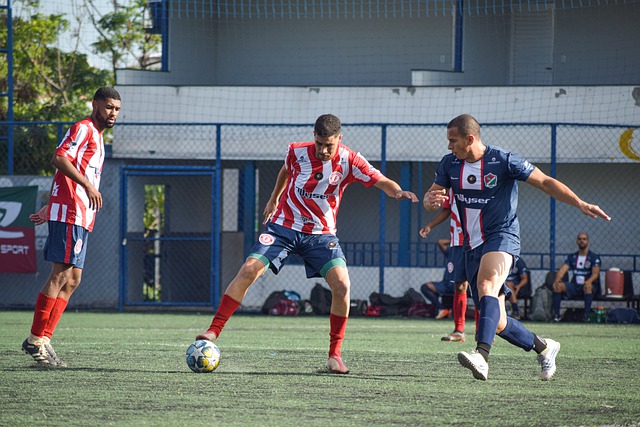 供了一个全 供了一个全