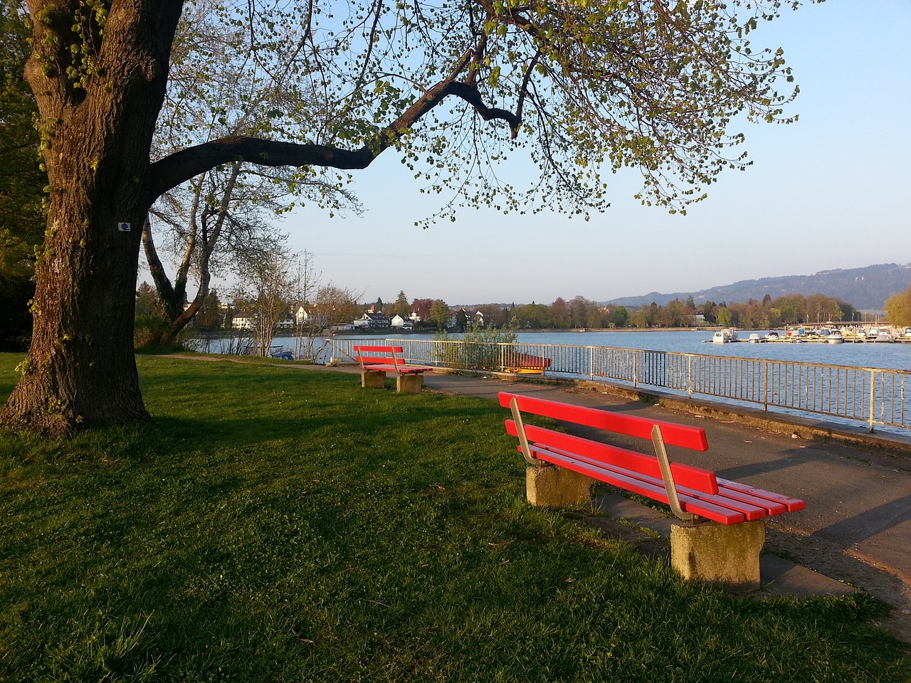 力及出色的 力及出色的