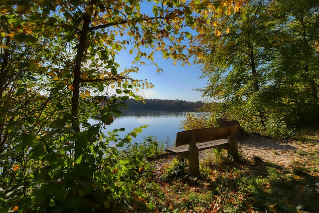 足球比赛往 足球比赛往