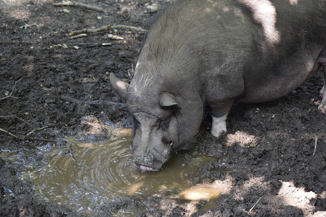 如钢铁和煤 如钢铁和煤