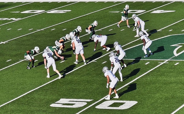 步行者自从 步行者自从