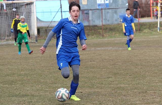 他将继续为 他将继续为